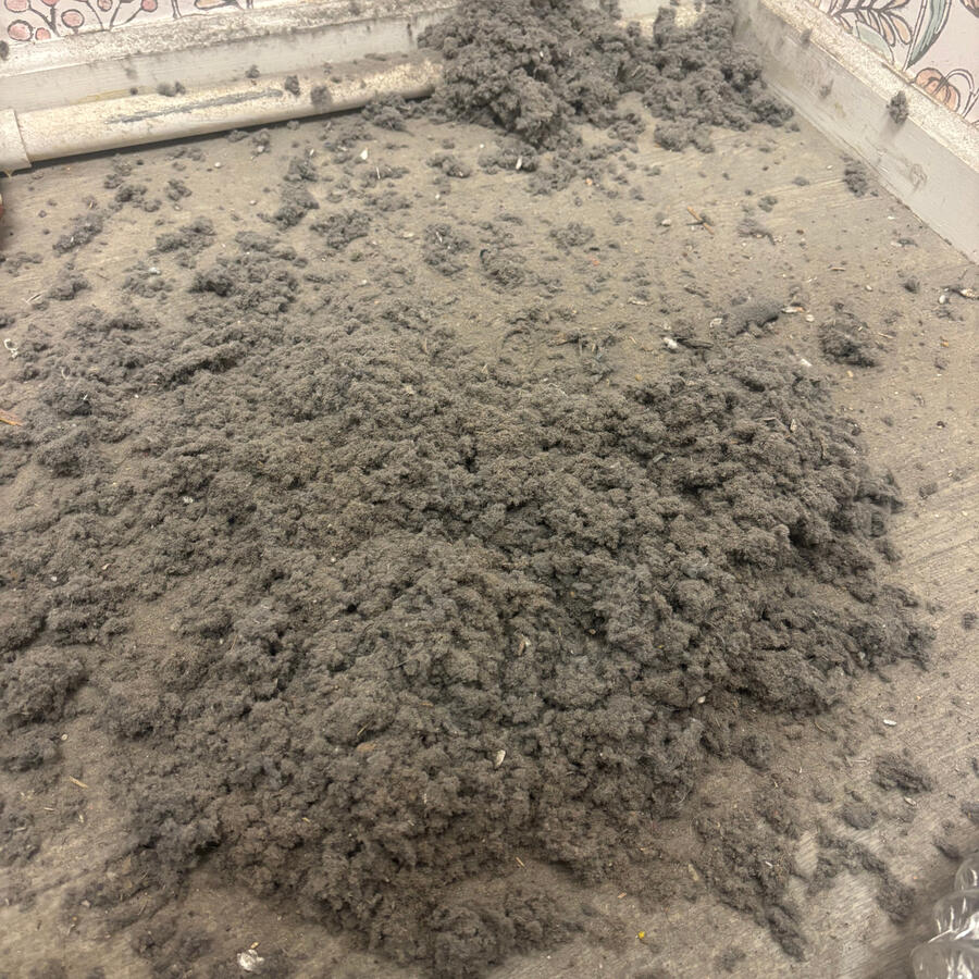 Dryer Vent Cleaning