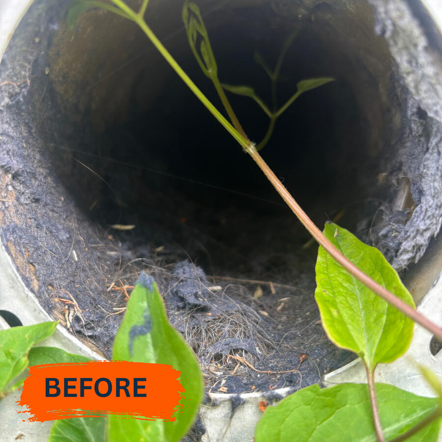Dryer Vent Cleaning